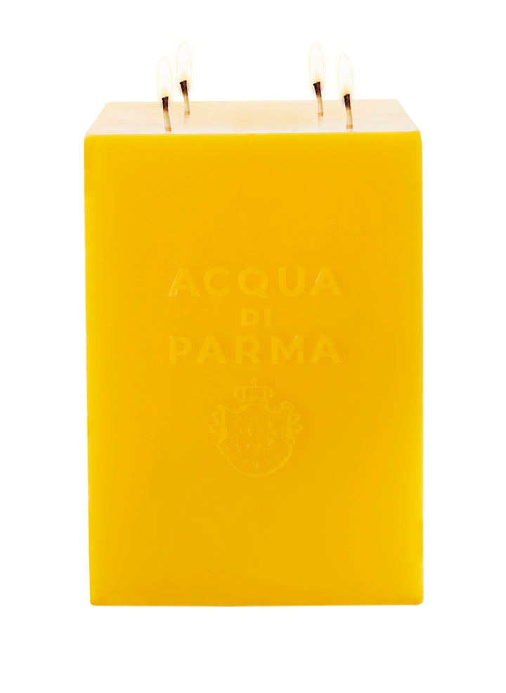 ACQUA DI PARMA Candela Profumata Jumbo Aromatic Candle 9000 gram - Geurkaars