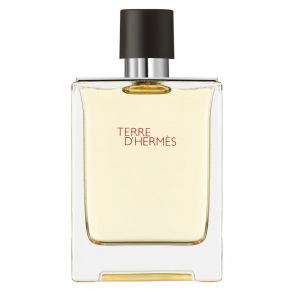 Hermès Terre D'Hermès 100ml Eau de Toilette